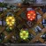 Entac Kerti szolár lámpa katicabogár, 14.5x12x6cm, 6db SMD LED, piros Entac Kerti szolár lámpa katicabogár, 14.5x12x6cm, 6db SMD LED, piros