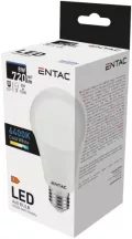 Entac LED Globe E27 8W CW 6400K