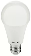 Entac Led GLOBE E27 8W WW 3000K